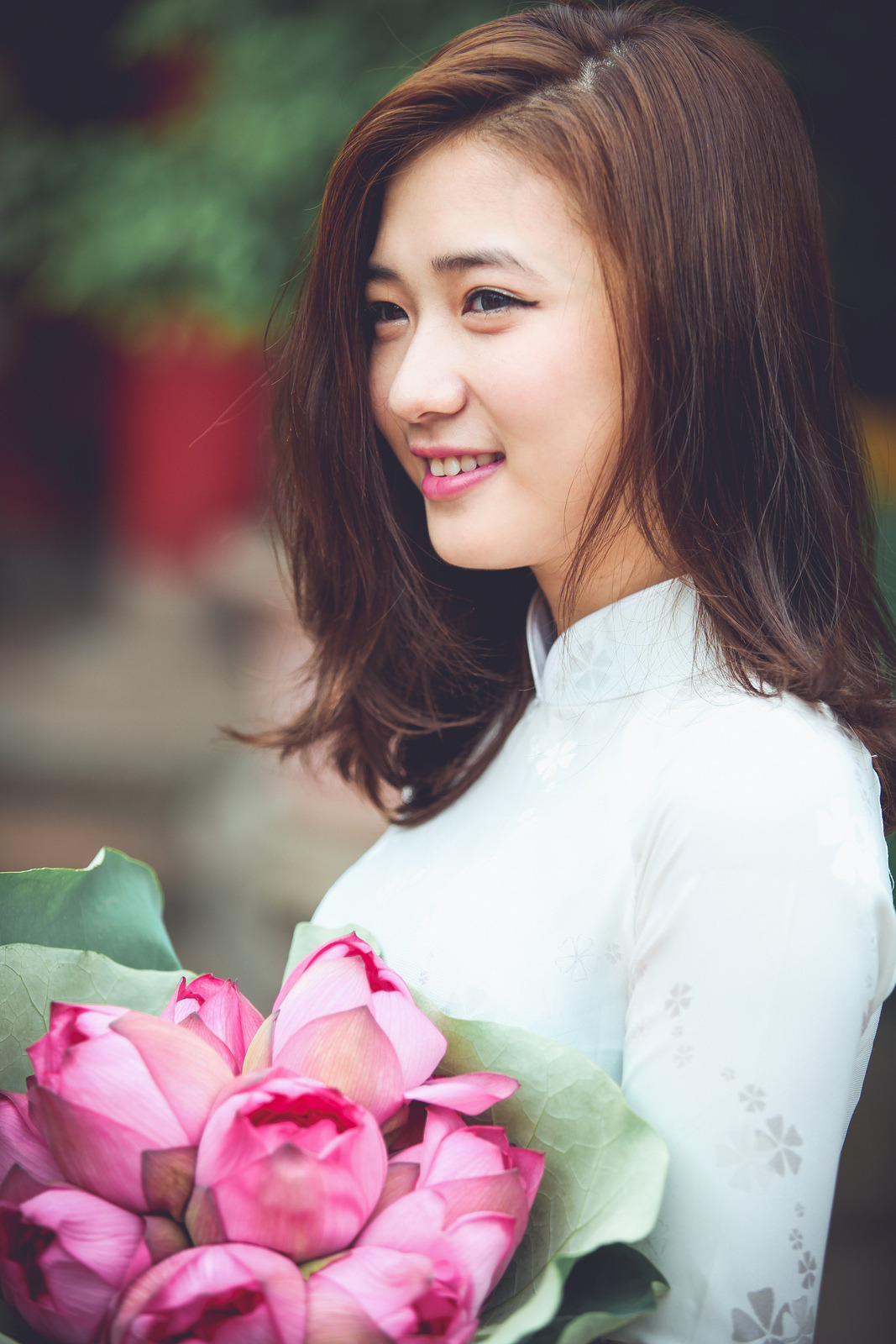 成人高清在线视频